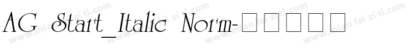 AG Start_Italic Norm字体转换